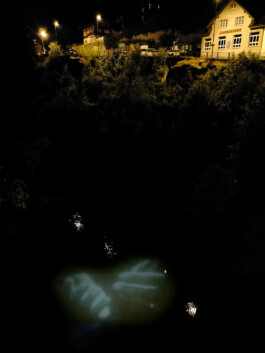 Onzgi-Goeschenen-Berg-im-Stausee-2021-006.jpg 