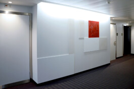 Onzgi-Clinic-Hirslanden-Zurich-2013-02 
