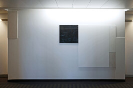 Onzgi-Clinic-Hirslanden-Zurich-2013-06 