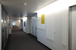 Onzgi-Clinic-Hirslanden-Zurich-2013-08 