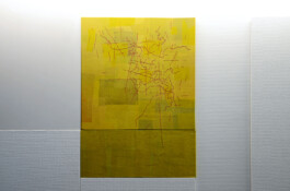 Onzgi-Clinic-Hirslanden-Zurich-2013-09 