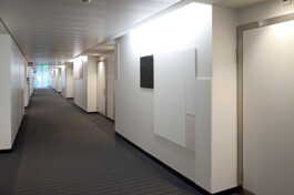 Onzgi-Clinic-Hirslanden-Zurich-2013-10 