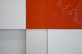 Onzgi-Clinic-Hirslanden-Zurich-2013-11 