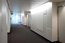 Onzgi-Clinic-Hirslanden-Zurich-2013-12 