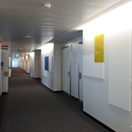 Onzgi-Clinic-Hirslanden-Zurich-2013-V 