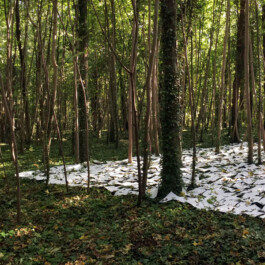 Onzgi-Somewhere-02-2017-02 