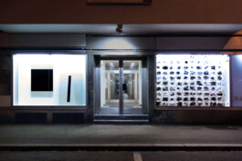 Onzgi-Theorem-Die-Diele-Zurich-2015-01 