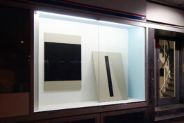 Onzgi-Theorem-Die-Diele-Zurich-2015-02 
