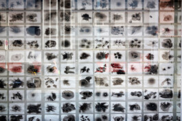 Onzgi-Theorem-Die-Diele-Zurich-2015-07 
