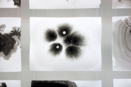Onzgi-Theorem-Die-Diele-Zurich-2015-09 