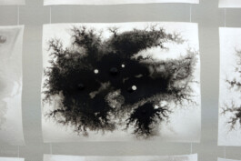 Onzgi-Theorem-Die-Diele-Zurich-2015-17 