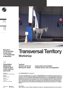Transversal-Territory-Workshop-2023-Flyer-Web.jpg 
